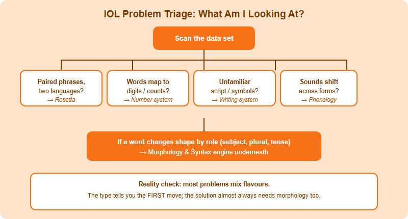 Decision tree for identifying an IOL problem type: start from what the data looks like, branch to Rosetta translation, number system, writing system, phonology, or morphology and syntax.