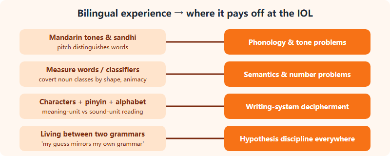 Map from four Mandarin-English bilingual experiences - tone, classifiers, two scripts, living between grammars - to the IOL problem areas where each intuition pays off