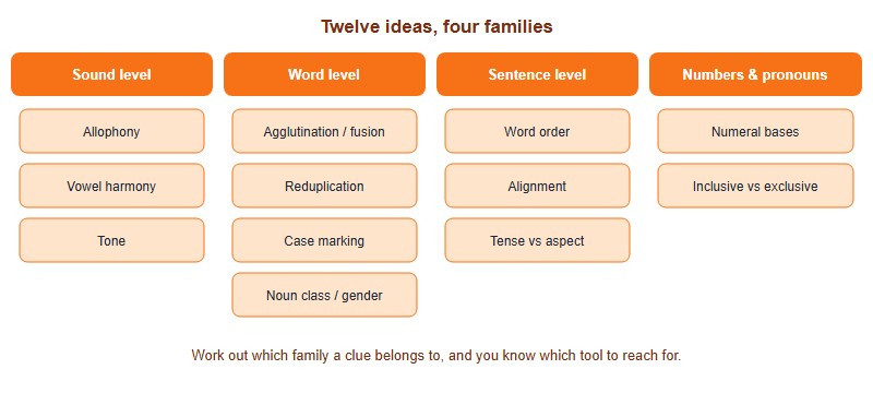 A map of twelve linguistics concepts grouped into four families: sound level, word level, sentence level, and numbers and pronouns