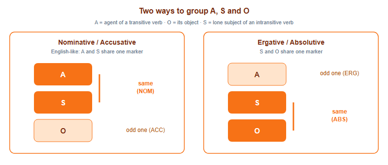 Comparison of nominative-accusative and ergative-absolutive alignment showing how the lone subject S is grouped with either the agent A or the object O