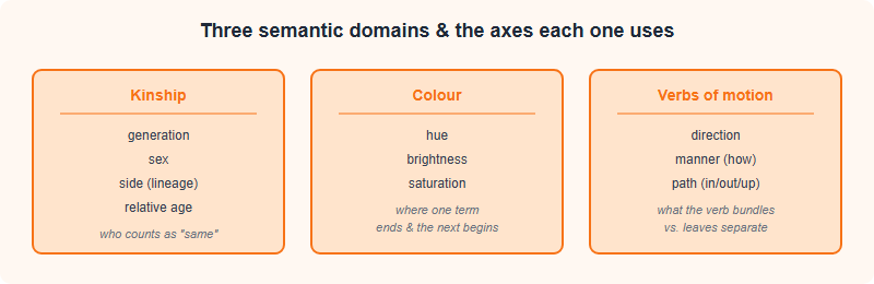 Three common semantic domains at the IOL: kinship divided by generation, sex, side and age; colour divided by hue and brightness; verbs of motion divided by direction, manner and path