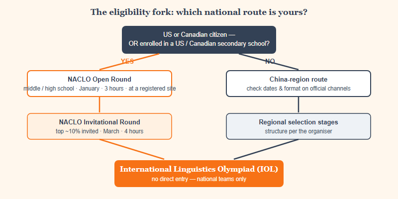 Decision diagram: are you a US or Canadian citizen, or enrolled in a US or Canadian secondary school? If yes, the NACLO Open Round in January leads to the Invitational Round and a national team. If no, the China-region route leads to its own national selection. Both converge on the International Linguistics Olympiad.