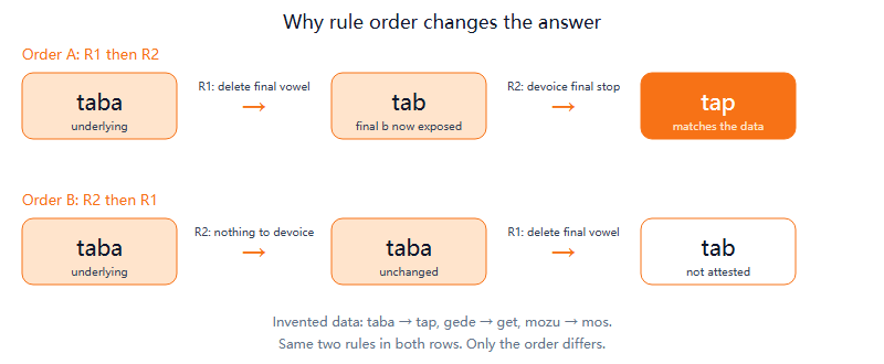 Two pipelines showing the invented form taba processed by rule 1 then rule 2 giving the attested tap, versus rule 2 then rule 1 giving the unattested tab