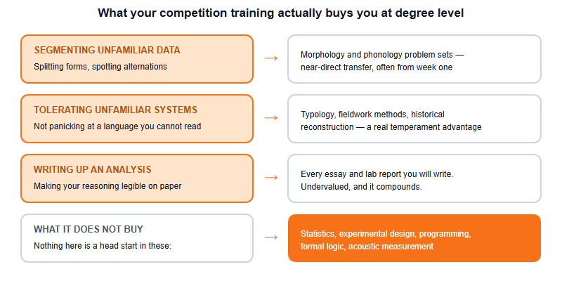 Four olympiad skills mapped onto the university areas where each one pays off, with a note on what each skill does not cover.