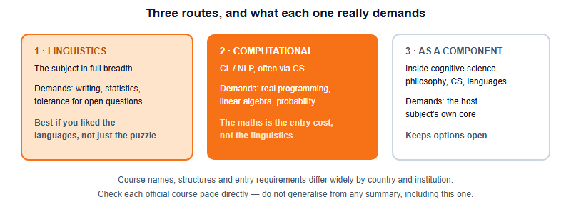 Three university routes from linguistics olympiad interest: pure linguistics, computational linguistics and NLP, and linguistics as a component of another degree.